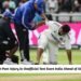 Rishabh Pant Injury